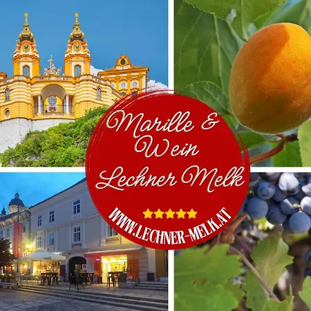 Altstadthaus Marille Mit Innenhofterrasse Casa vacanze *