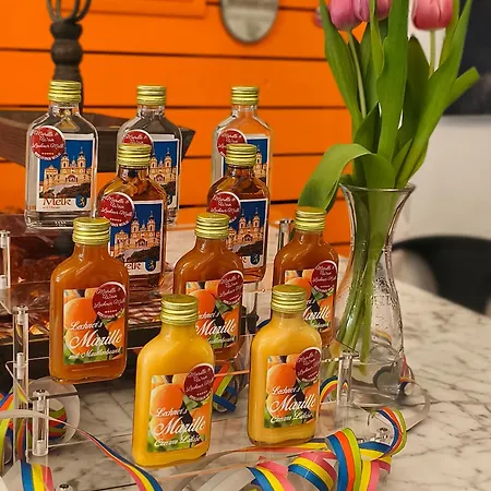 Altstadthaus Marille Mit Innenhofterrasse Holiday home Melk