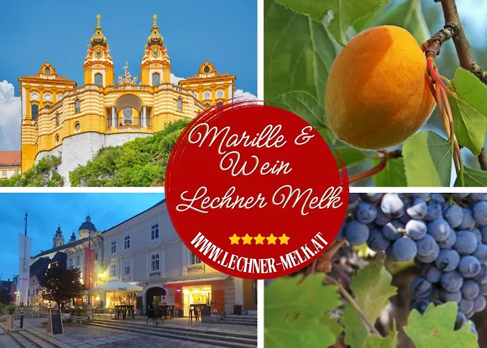 Altstadthaus Marille Mit Innenhofterrasse Casa vacanze *