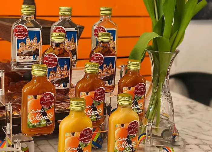 Altstadthaus Marille Mit Innenhofterrasse Holiday home Melk